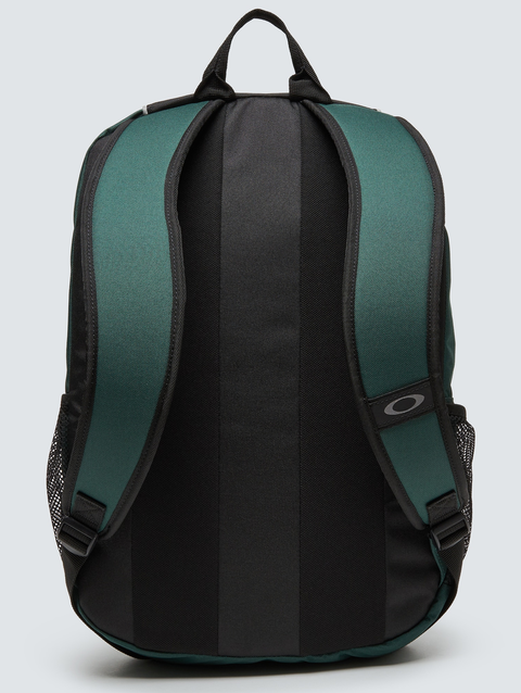 Enduro 20L 3.0 hunter green